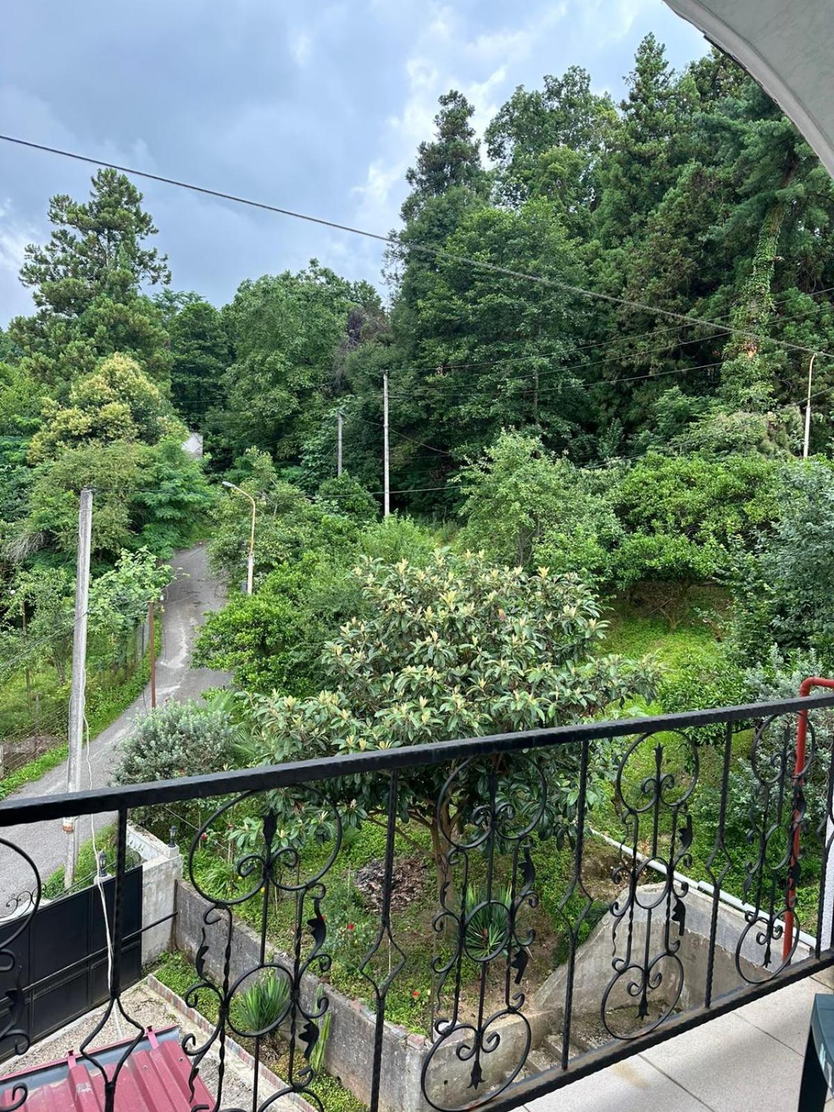 Shamil House Guest House Makhinjauri Bagian luar foto